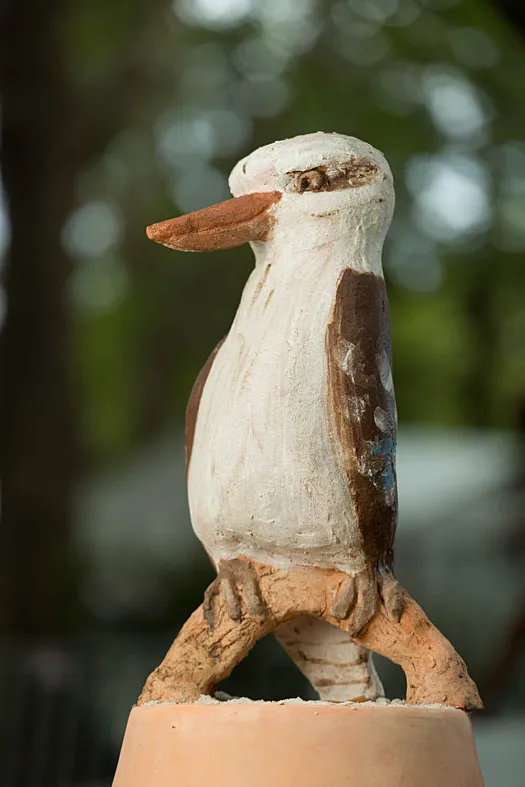 Kookaburra by Meredith Plain