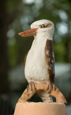 Kookaburra by Meredith Plain