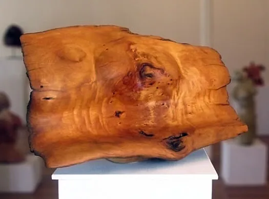 La Femme by Mary Currin