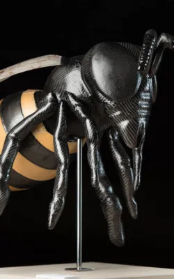 Landing Bee by Chris McDonald