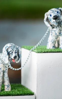 Lapping up the Attention by Bronwyn Lewis