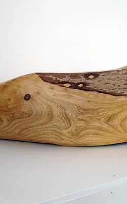 Le Poisson (The Fish) by Fay Gerber