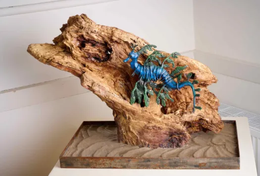 Leafy Seadragon on driftwood by Aukje Van Vark
