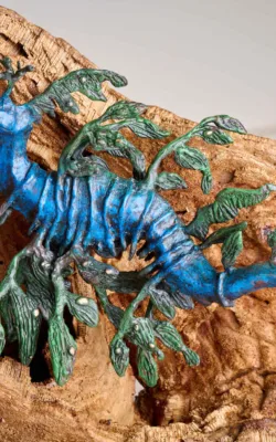 Leafy Seadragon on driftwood by Aukje Van Vark