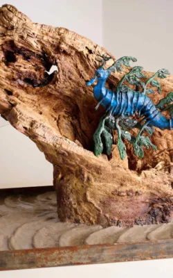 Leafy Seadragon on driftwood by Aukje Van Vark