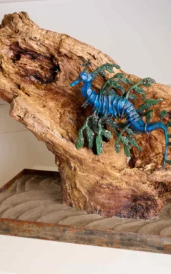 Leafy Seadragon on driftwood by Aukje Van Vark