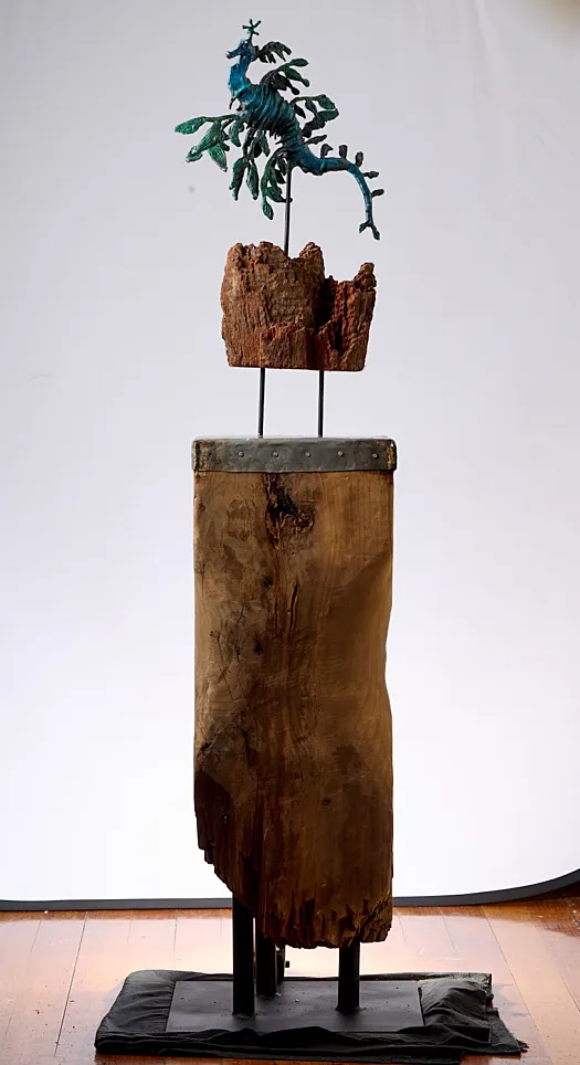 Leafy Seadragon by Aukje Van Vark