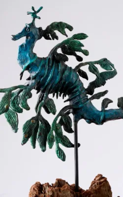 Leafy Seadragon by Aukje Van Vark