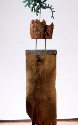 Leafy Seadragon by Aukje Van Vark