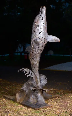 Leaping for joy by Chris Anderson