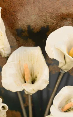 Lilys by Alison Parkinson