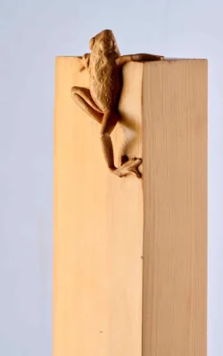Little Frog. Big Climb by Olivia O'Connor