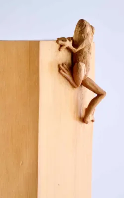 Little Frog. Big Climb by Olivia O'Connor