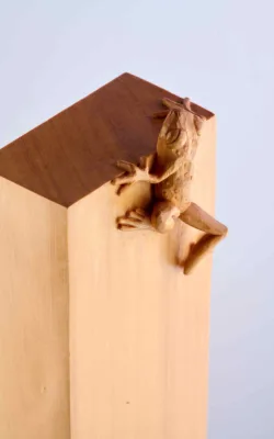 Little Frog. Big Climb by Olivia O'Connor