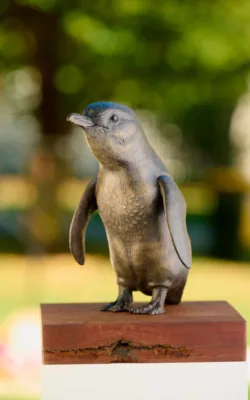 Little Penguin by Martin Moore