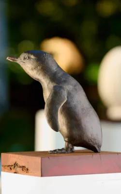 Little Penguin by Martin Moore