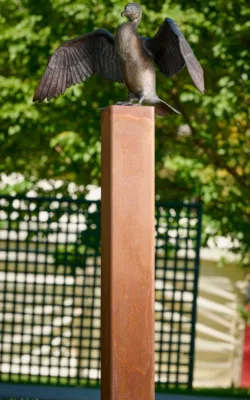 Little Pied Cormorant by Martin Moore