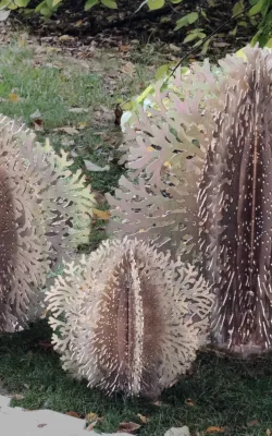 Lophelia Sculptures by Helen Neyland