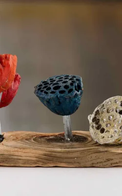 Lotus Pod by Denise Honan