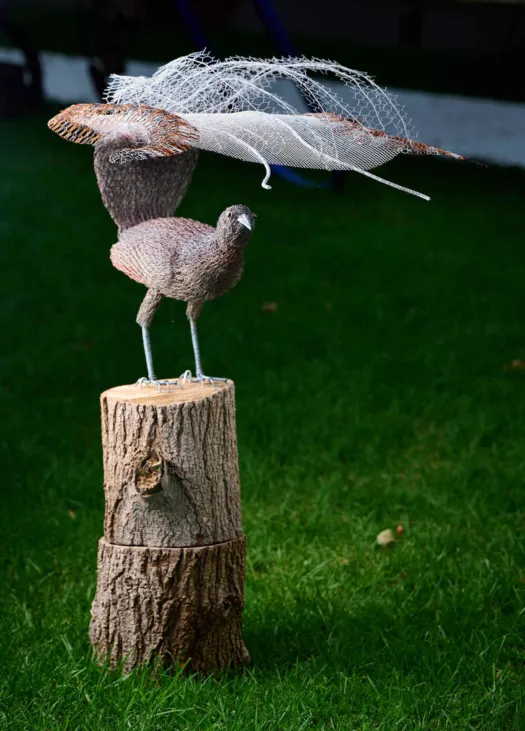 Lyrebird by Vicki Combridge