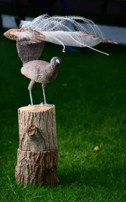 Lyrebird by Vicki Combridge