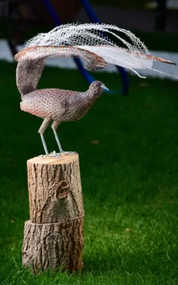 Lyrebird by Vicki Combridge