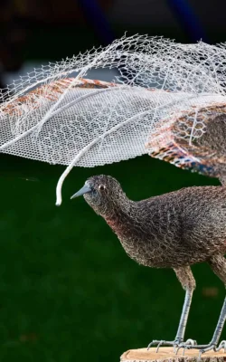 Lyrebird by Vicki Combridge