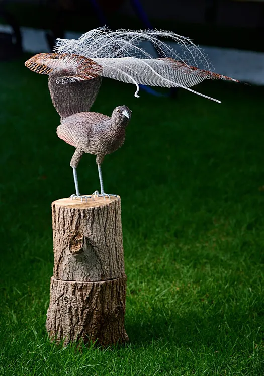 Lyrebird by Vicki Combridge