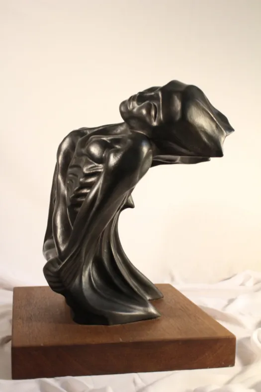 Man Contemplating the Limitations of  Market based Solutions to the Impending Catastrophe by Rajko Grbac
