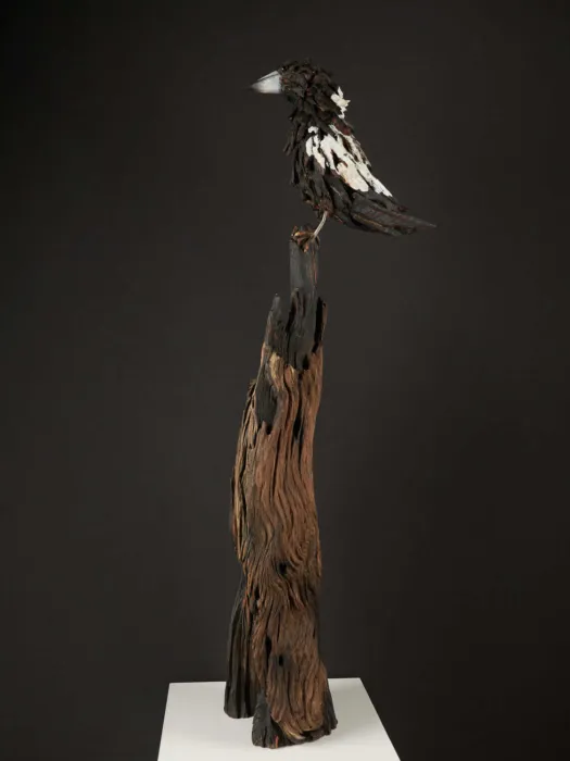 Marjory the Magpie by Chris Anderson