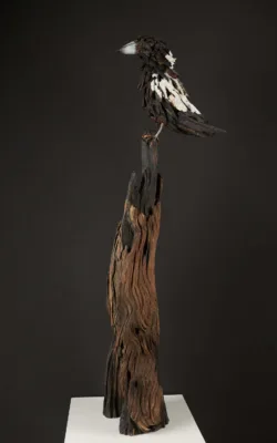 Marjory the Magpie by Chris Anderson