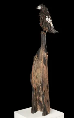 Marjory the Magpie by Chris Anderson