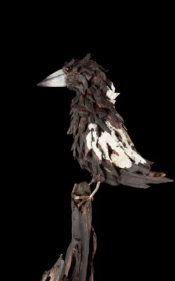 Marjory the Magpie by Chris Anderson