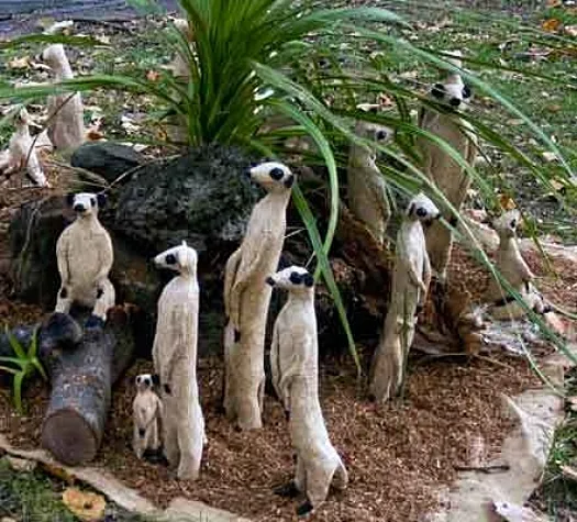 Meerkats #1 by Aleida Wright