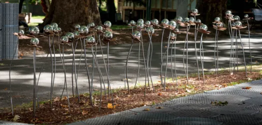 Melbourne International  Flower and Garden Show Pods by David Doyle