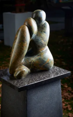Mere Musing by Clare Collins