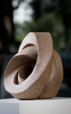 Mobius by Susie Ashkenazi