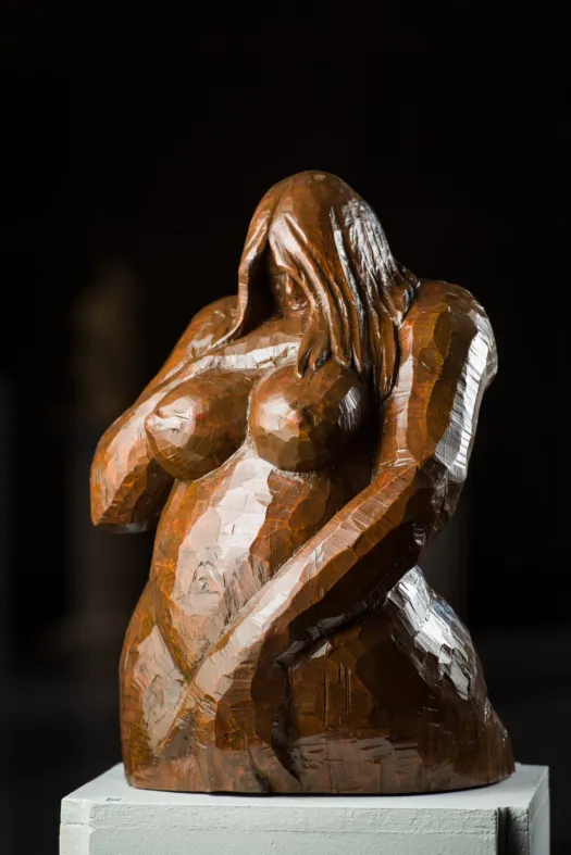 Modelling by Anthony Kim