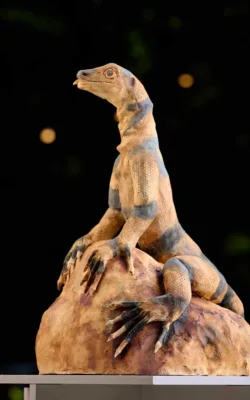 Monitor Lizard by Heather Wilson