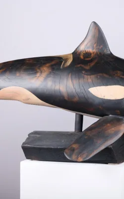 Morgan The Orca by Darren Allbutt