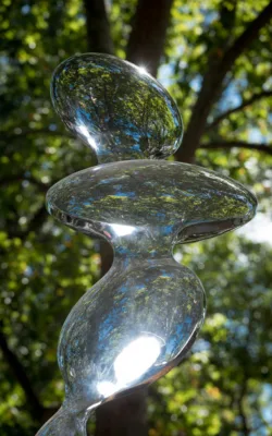 Morph by Todd Lyndon Stuart