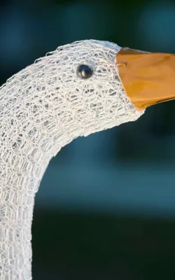 Mother Goose by Vicki Combridge