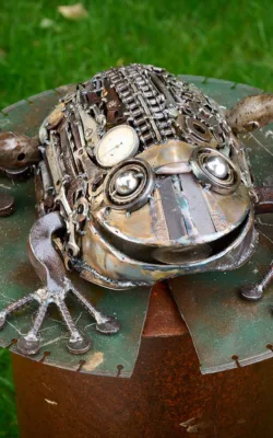 Mr Toad by Damien Keirl