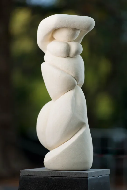Ms Multiplicity by Clare Collins