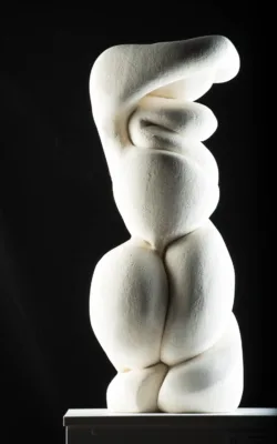 Ms Multiplicity by Clare Collins
