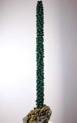 My Totem On My Land Too by Jackie Mackinnon