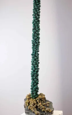 My Totem On My Land Too by Jackie Mackinnon