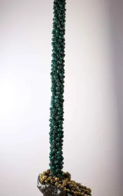 My Totem On My Land Too by Jackie Mackinnon