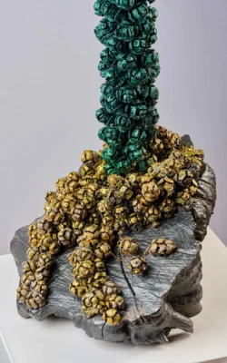 My Totem On My Land Too by Jackie Mackinnon