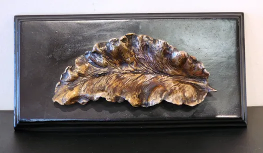 Nature Immortalised by Jackie Mackinnon